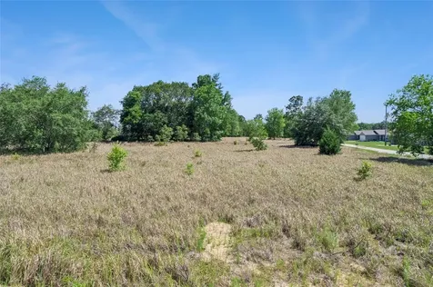 SW 149th Court Ocala FL 34481