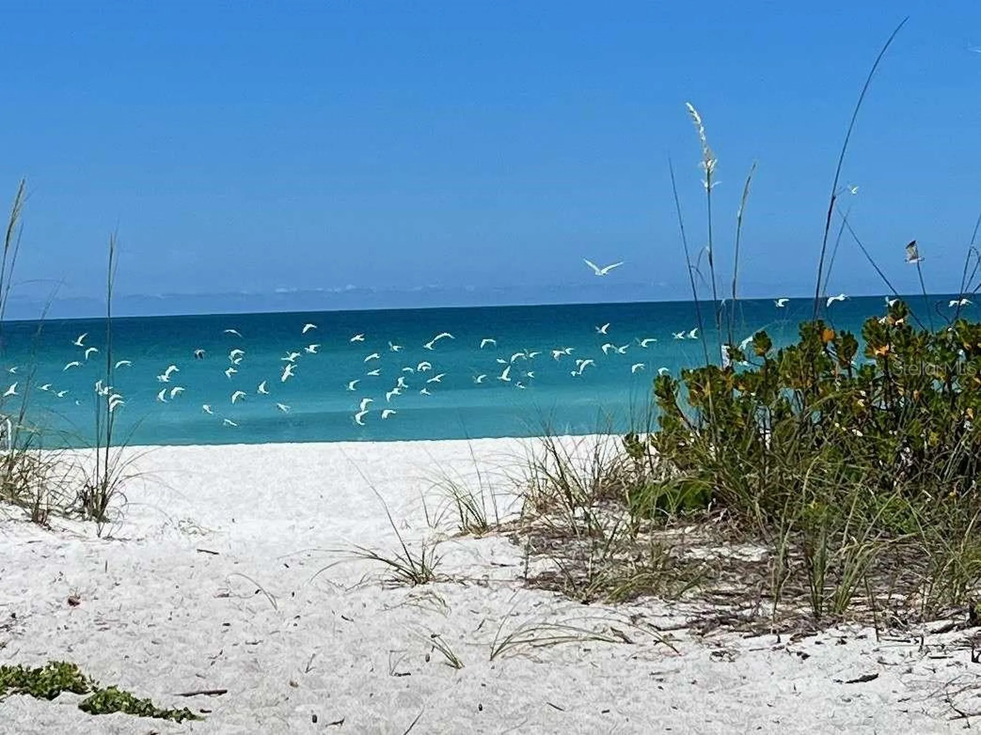 843 Bayport Way Longboat Key FL 34228