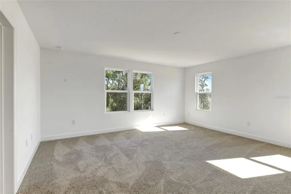 1010 Cloud Ridge Court Mount Dora FL 32757