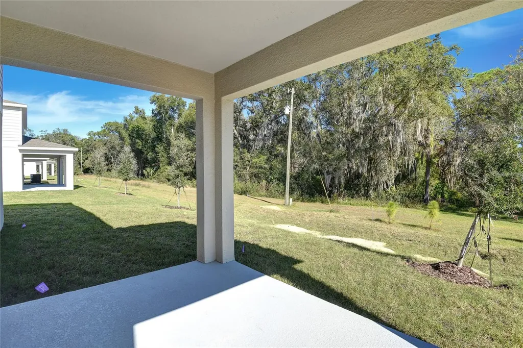 1010 Cloud Ridge Court Mount Dora FL 32757