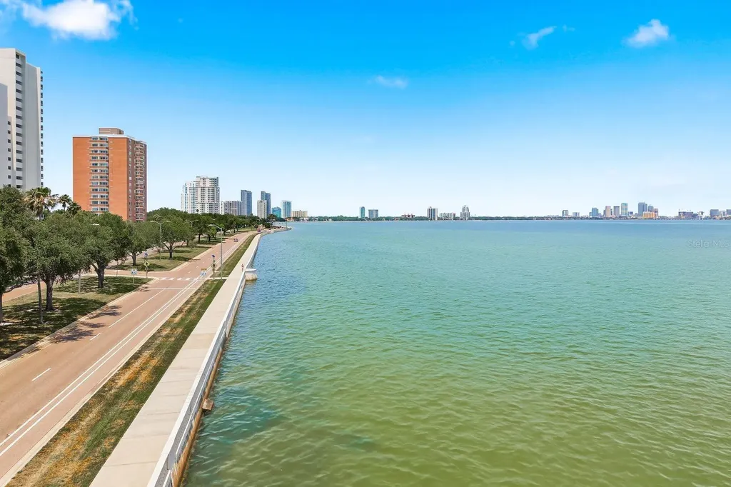 4811 Bayshore Boulevard Tampa FL 33611