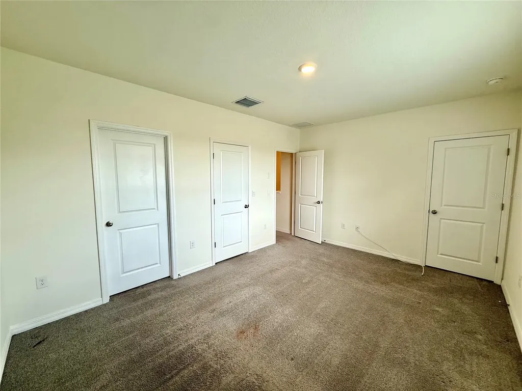 32794 Pez Landing Lane Wesley Chapel FL 33543