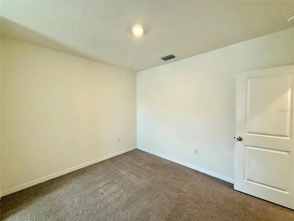 32794 Pez Landing Lane Wesley Chapel FL 33543
