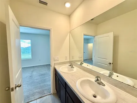 32794 Pez Landing Lane Wesley Chapel FL 33543