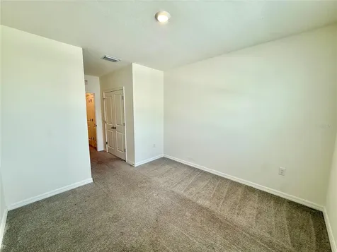 32794 Pez Landing Lane Wesley Chapel FL 33543