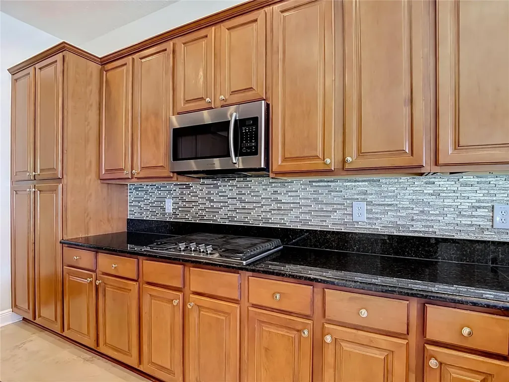 1439 Beaconsfield Drive Wesley Chapel FL 33543