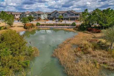 4664 Lagona Lane Wesley Chapel FL 33543