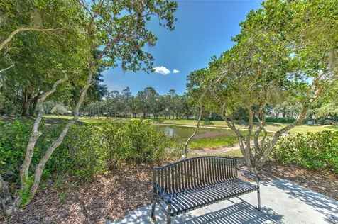 3412 Stonebridge Trail Valrico FL 33596