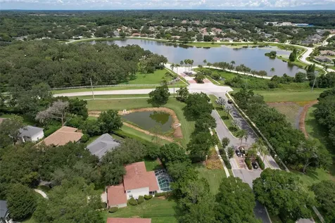 3412 Stonebridge Trail Valrico FL 33596