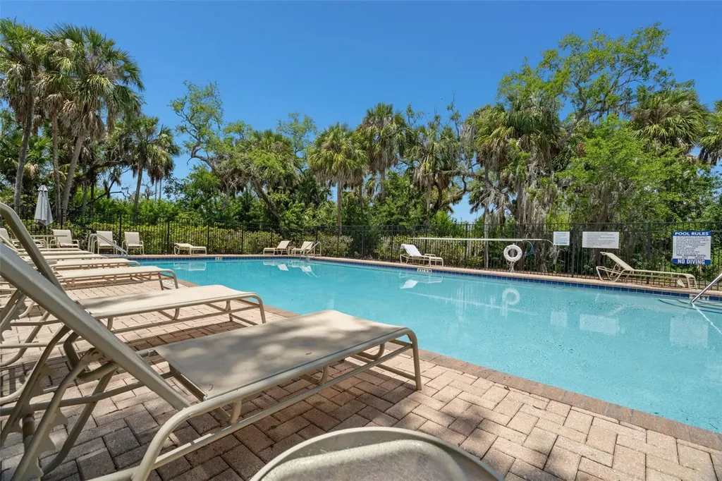 4817 Tuscan Loon Drive Tampa FL 33619