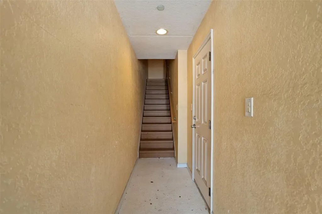 4817 Tuscan Loon Drive Tampa FL 33619