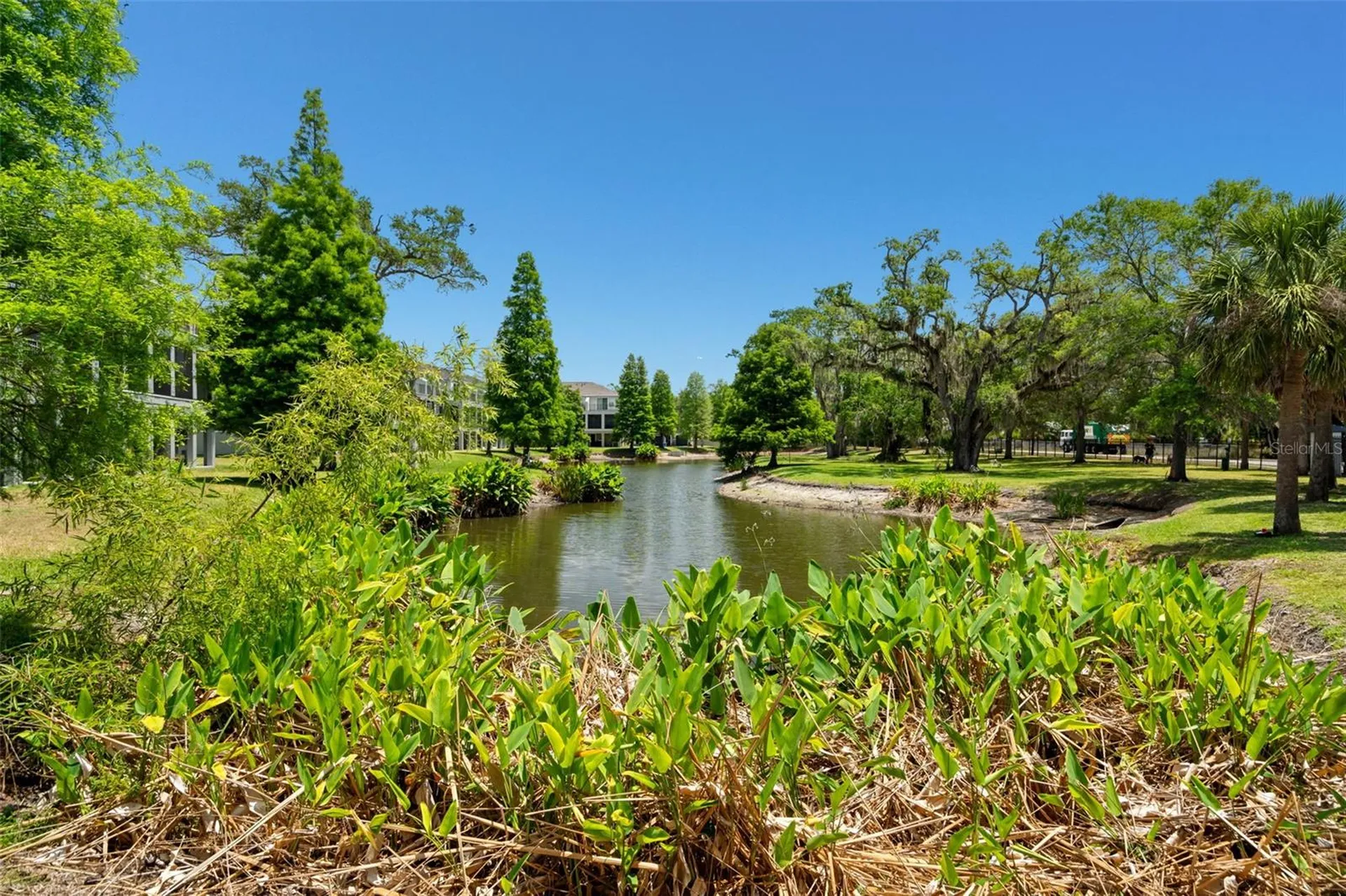 4817 Tuscan Loon Drive Tampa FL 33619
