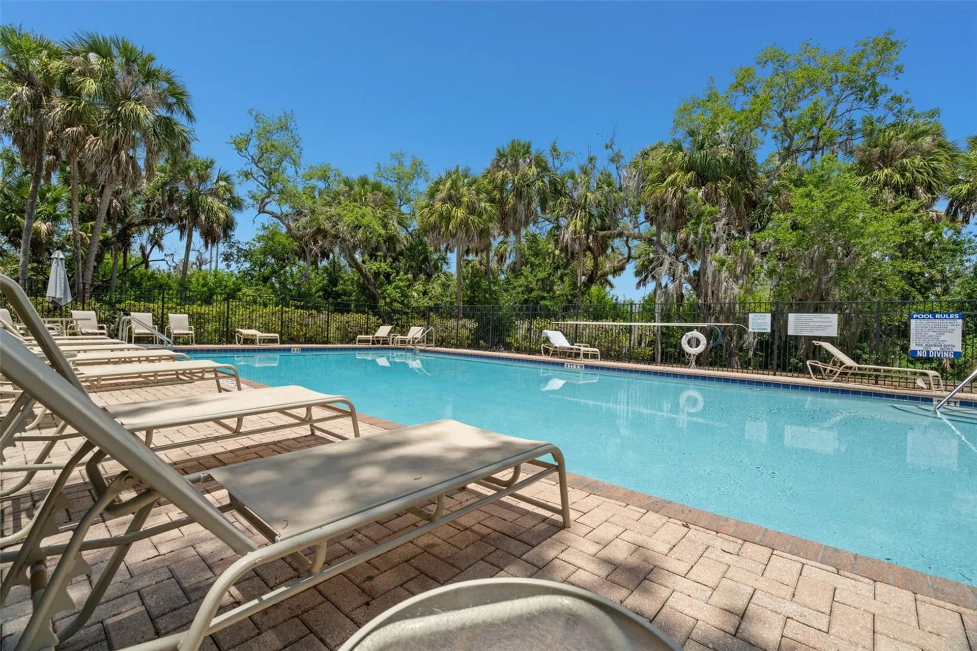 4817 Tuscan Loon Drive Tampa FL 33619