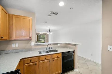 4817 Tuscan Loon Drive Tampa FL 33619