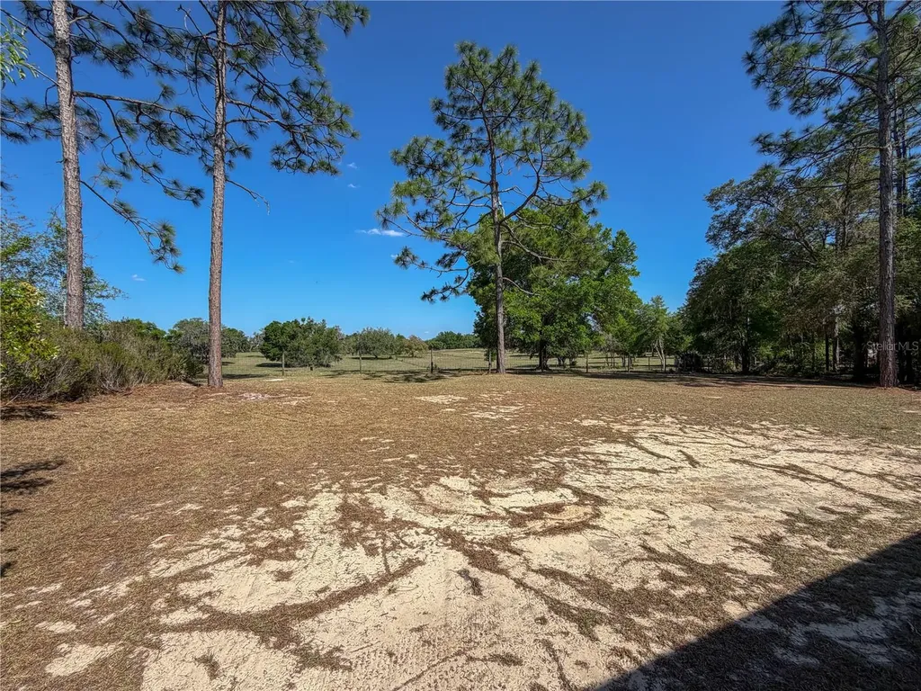 4497 NE 142nd Avenue Williston FL 32696