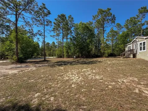 4497 NE 142nd Avenue Williston FL 32696