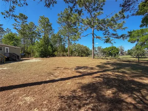 4497 NE 142nd Avenue Williston FL 32696