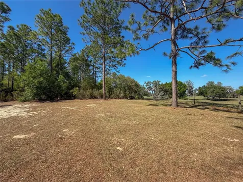 4497 NE 142nd Avenue Williston FL 32696