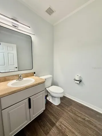 16112 Loneoak View Drive Lithia FL 33547