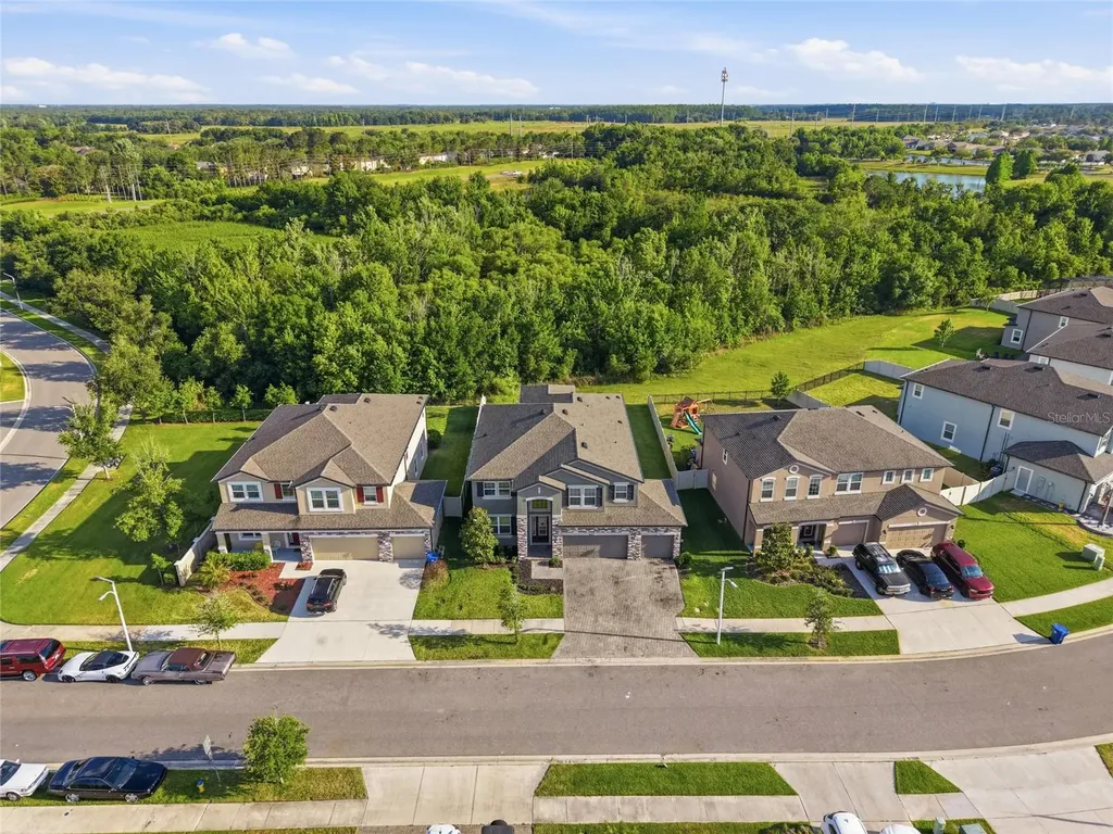 31646 Colada Drift Way Wesley Chapel FL 33545