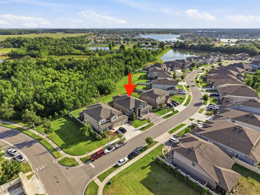 31646 Colada Drift Way Wesley Chapel FL 33545
