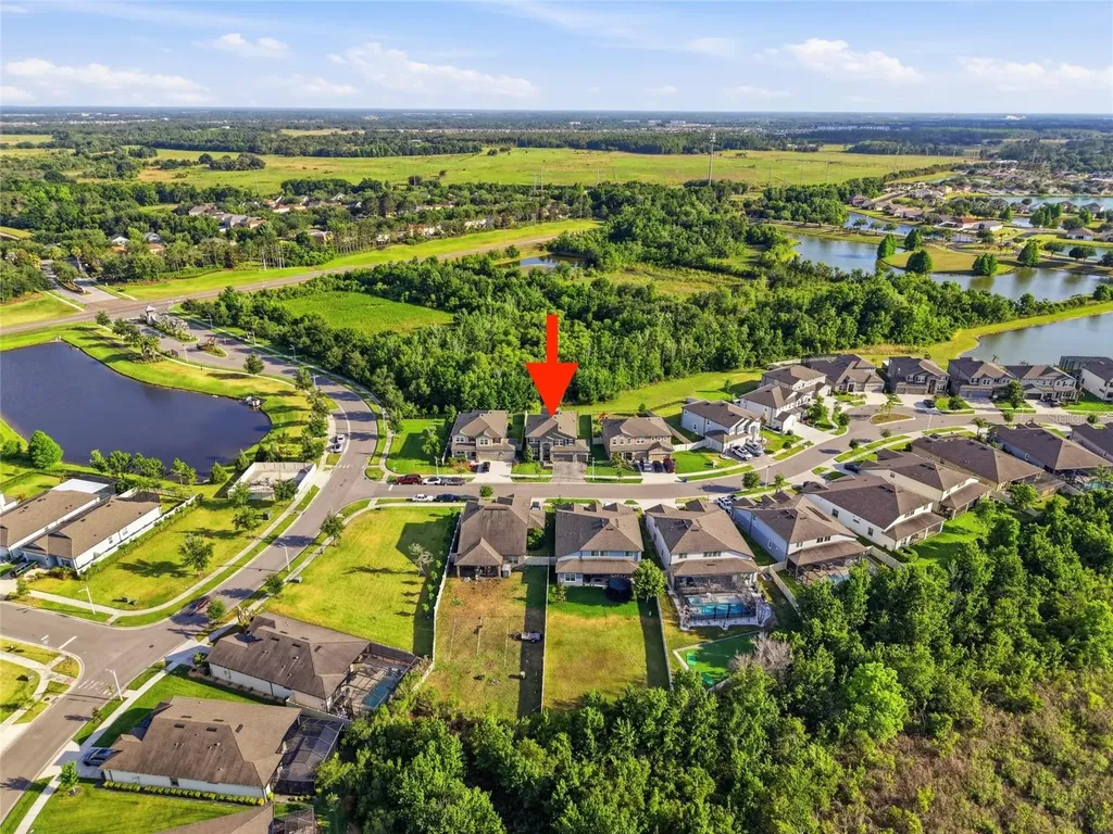 31646 Colada Drift Way Wesley Chapel FL 33545