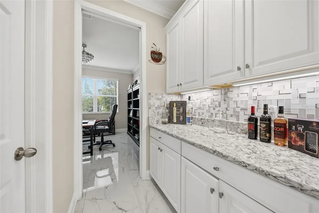 31646 Colada Drift Way Wesley Chapel FL 33545