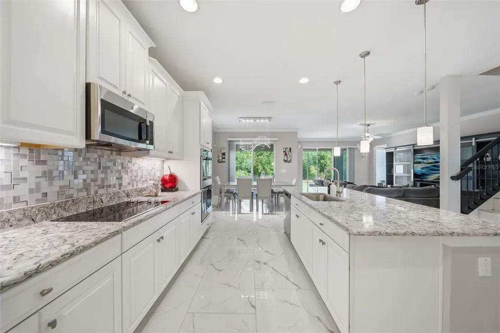 31646 Colada Drift Way Wesley Chapel FL 33545