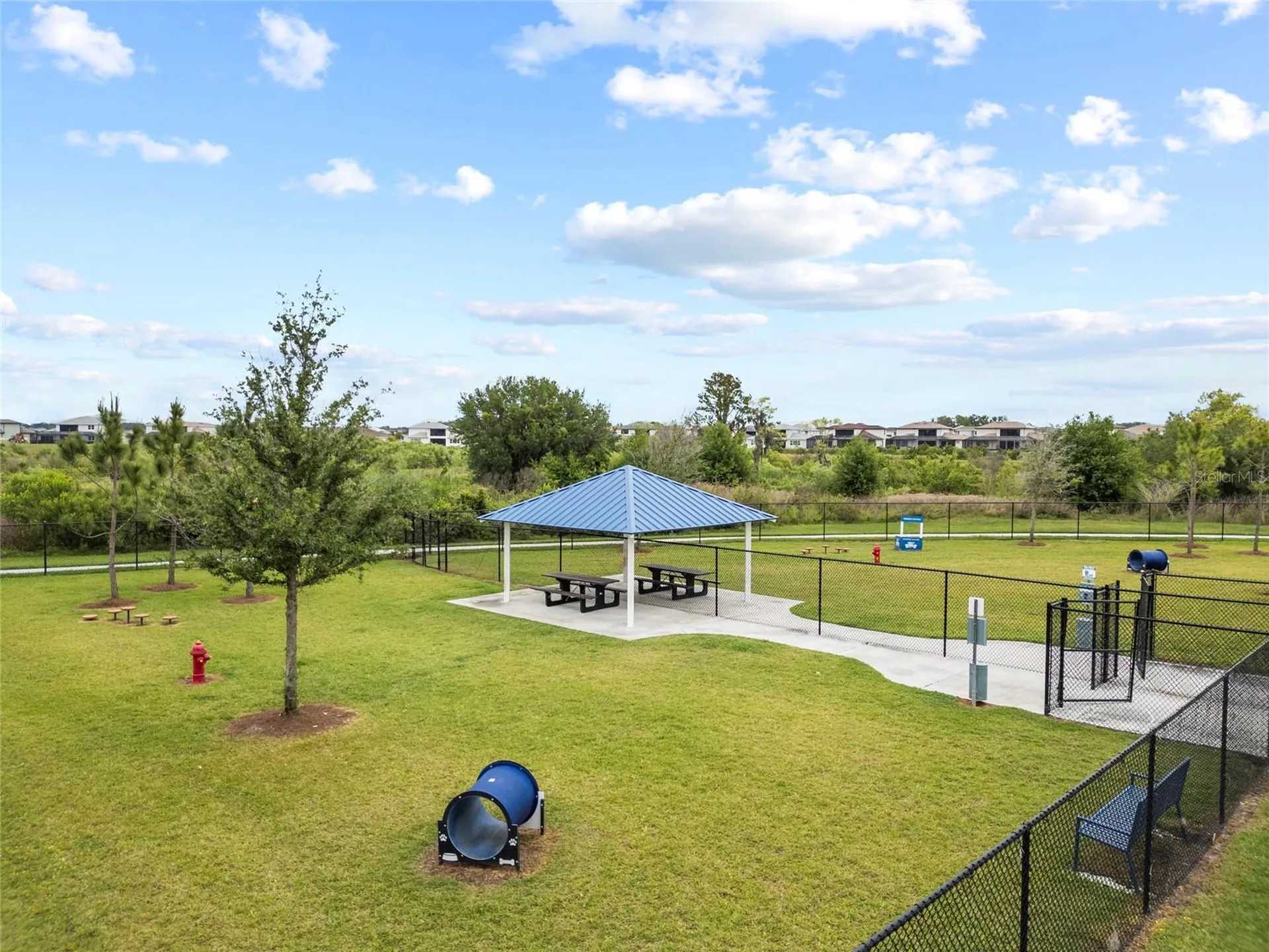 31646 Colada Drift Way Wesley Chapel FL 33545