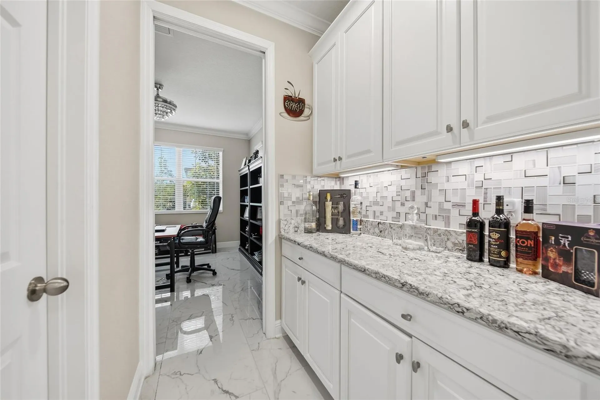 31646 Colada Drift Way Wesley Chapel FL 33545