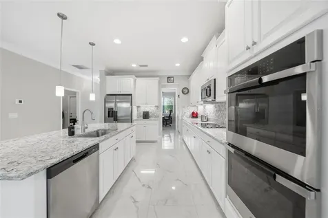 31646 Colada Drift Way Wesley Chapel FL 33545