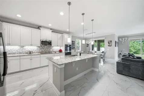 31646 Colada Drift Way Wesley Chapel FL 33545