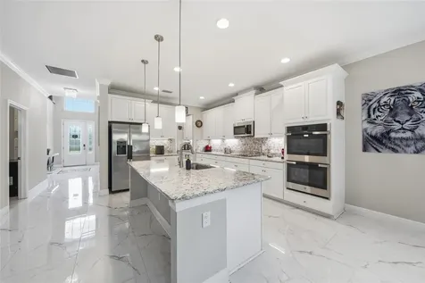 31646 Colada Drift Way Wesley Chapel FL 33545