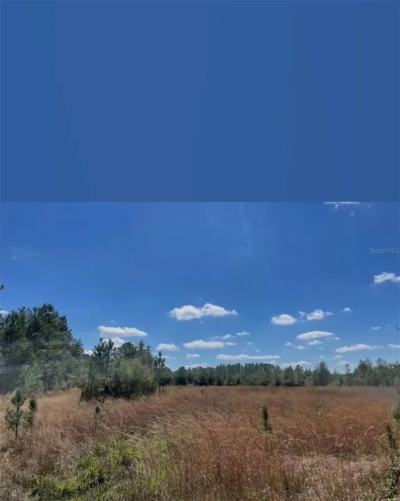 NE 124th Terrace Fort Mc Coy FL 32134