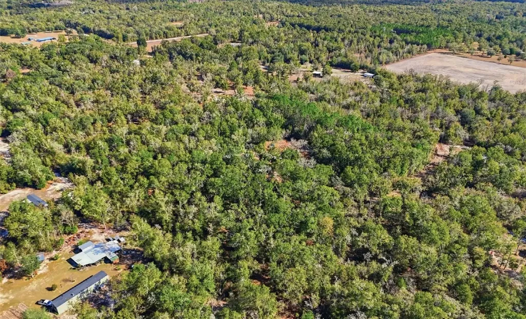 230 SW Tanager Court Fort White FL 32038