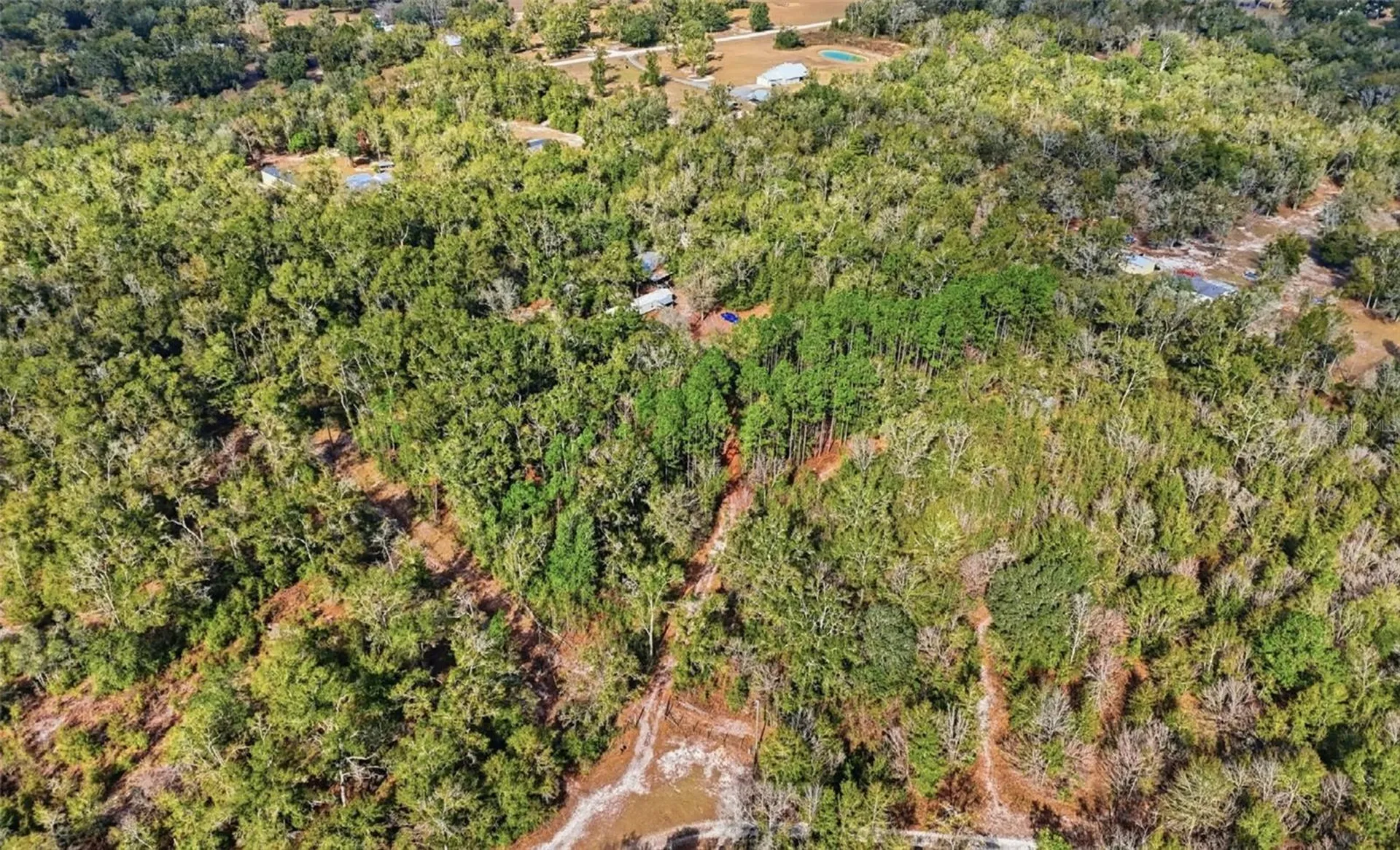 230 SW Tanager Court Fort White FL 32038