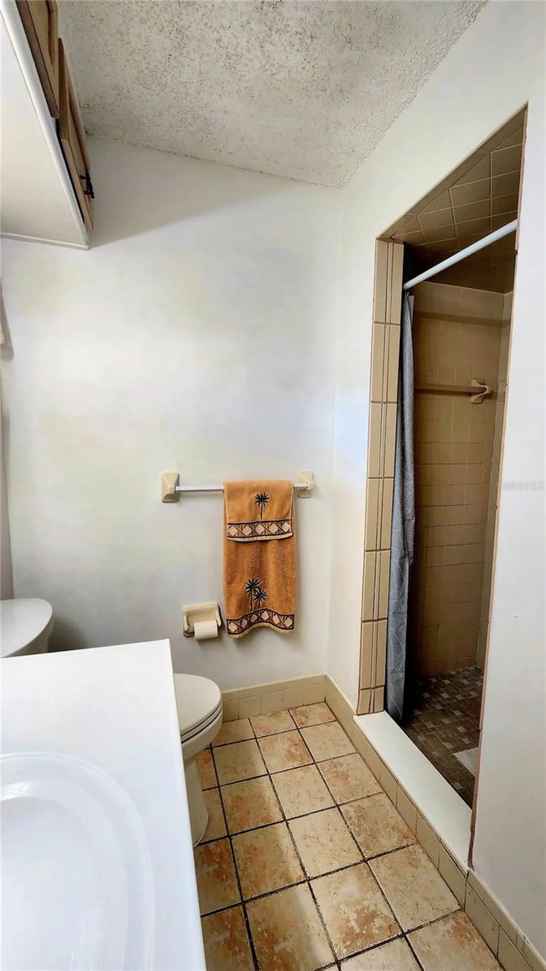 10405 SW 99th Avenue Ocala FL 34481