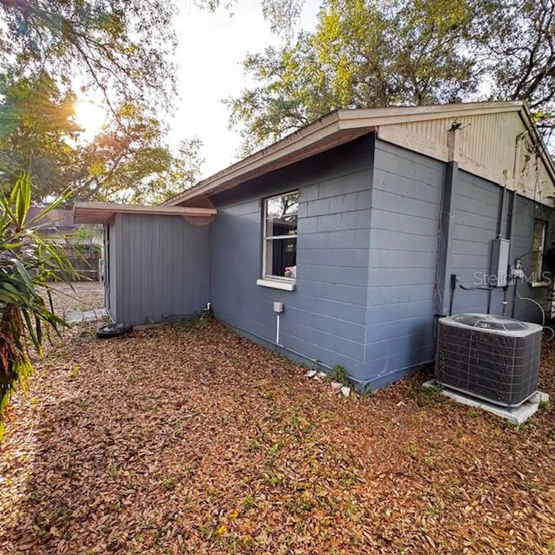 1907 E Emma Street Tampa FL 33610