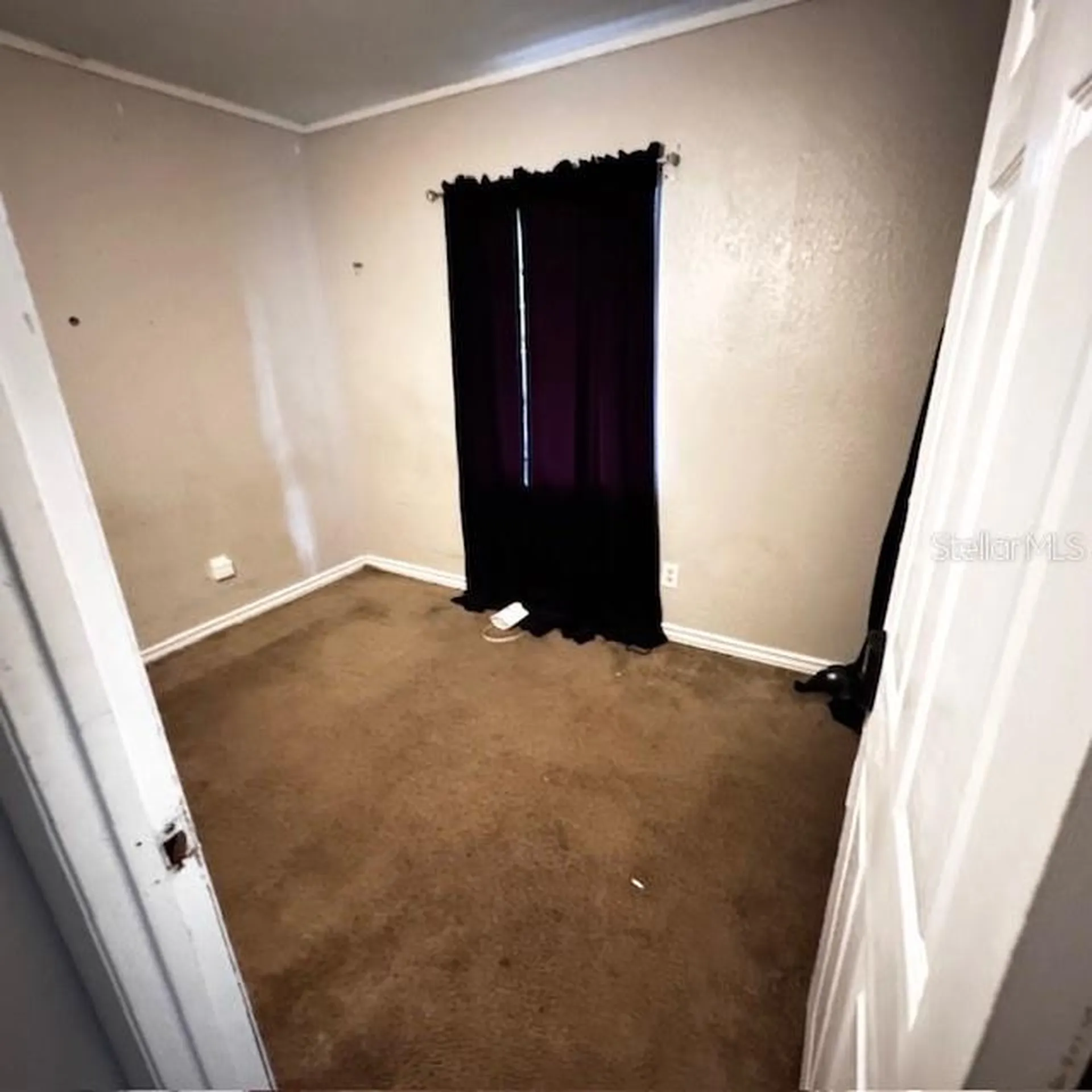 1907 E Emma Street Tampa FL 33610