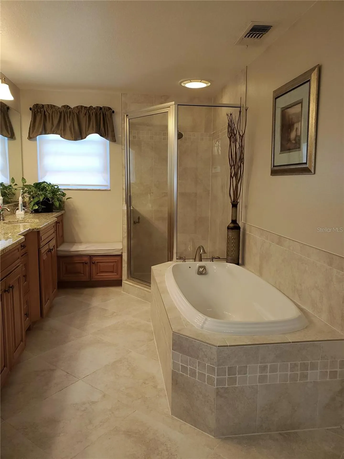 4029 Bell Grande Drive Valrico FL 33596