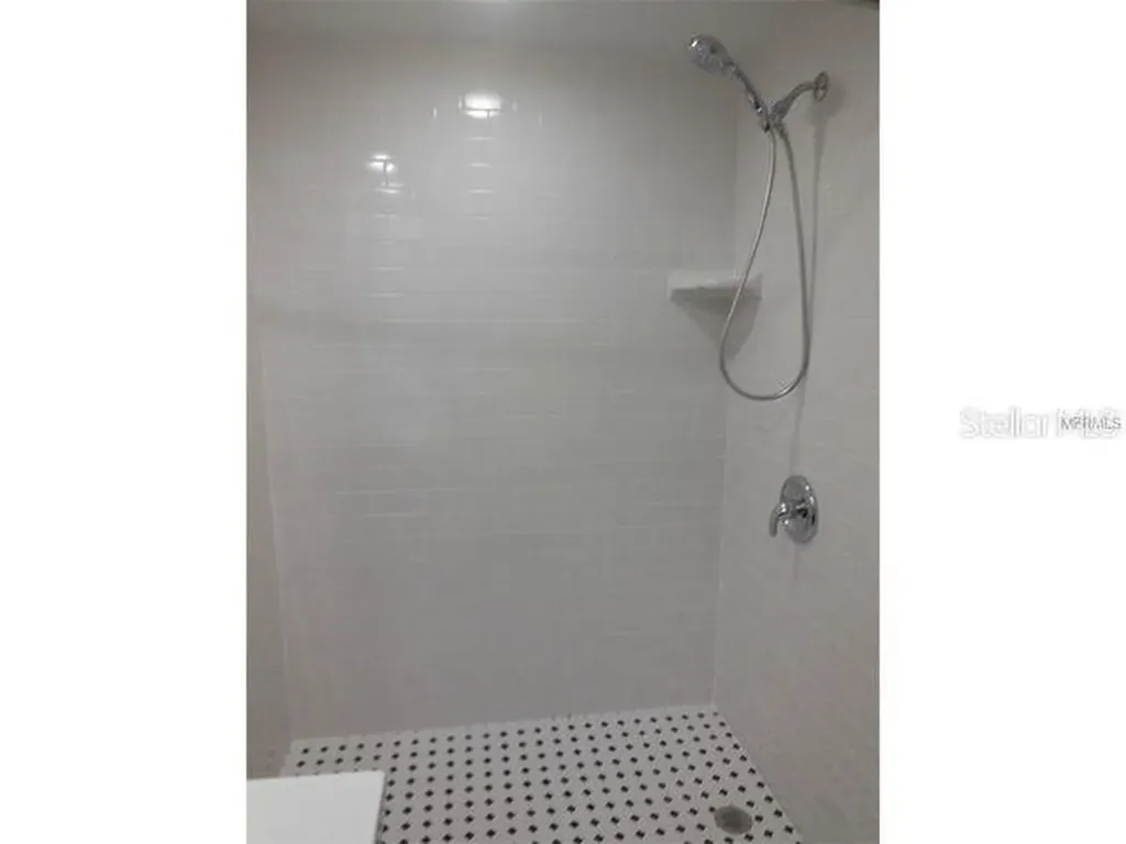 2411 W Horatio Street Tampa FL 33609
