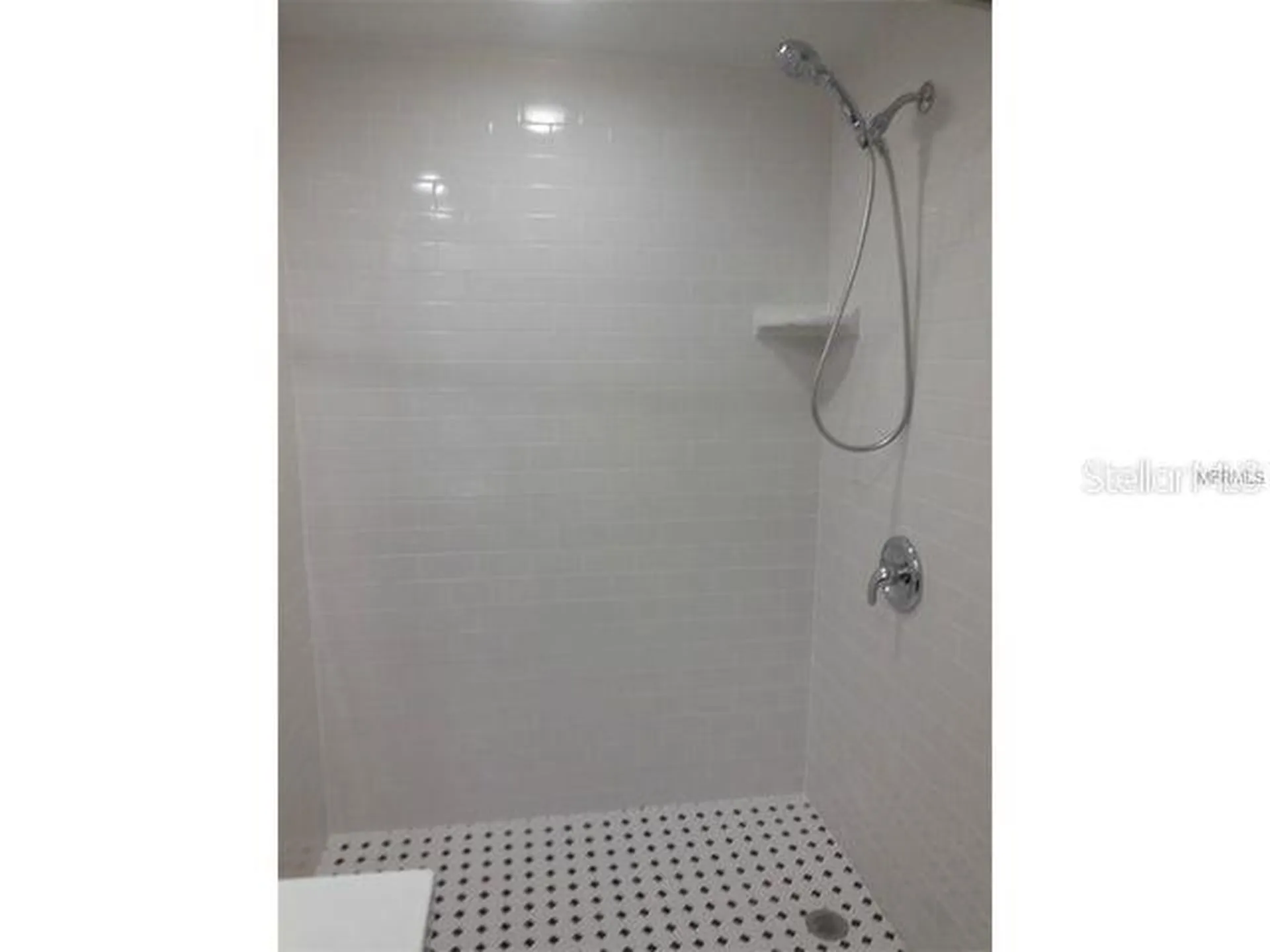 2411 W Horatio Street Tampa FL 33609