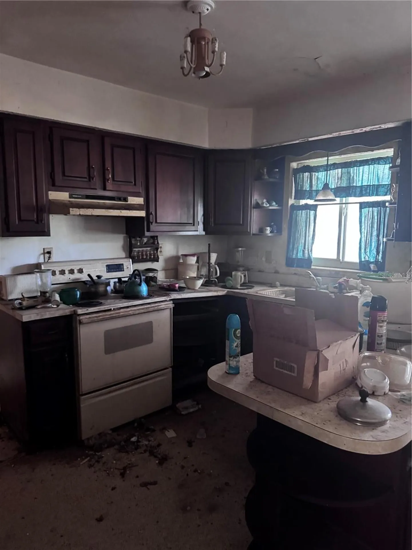 1601 Hardwood Drive Clearwater FL 33756