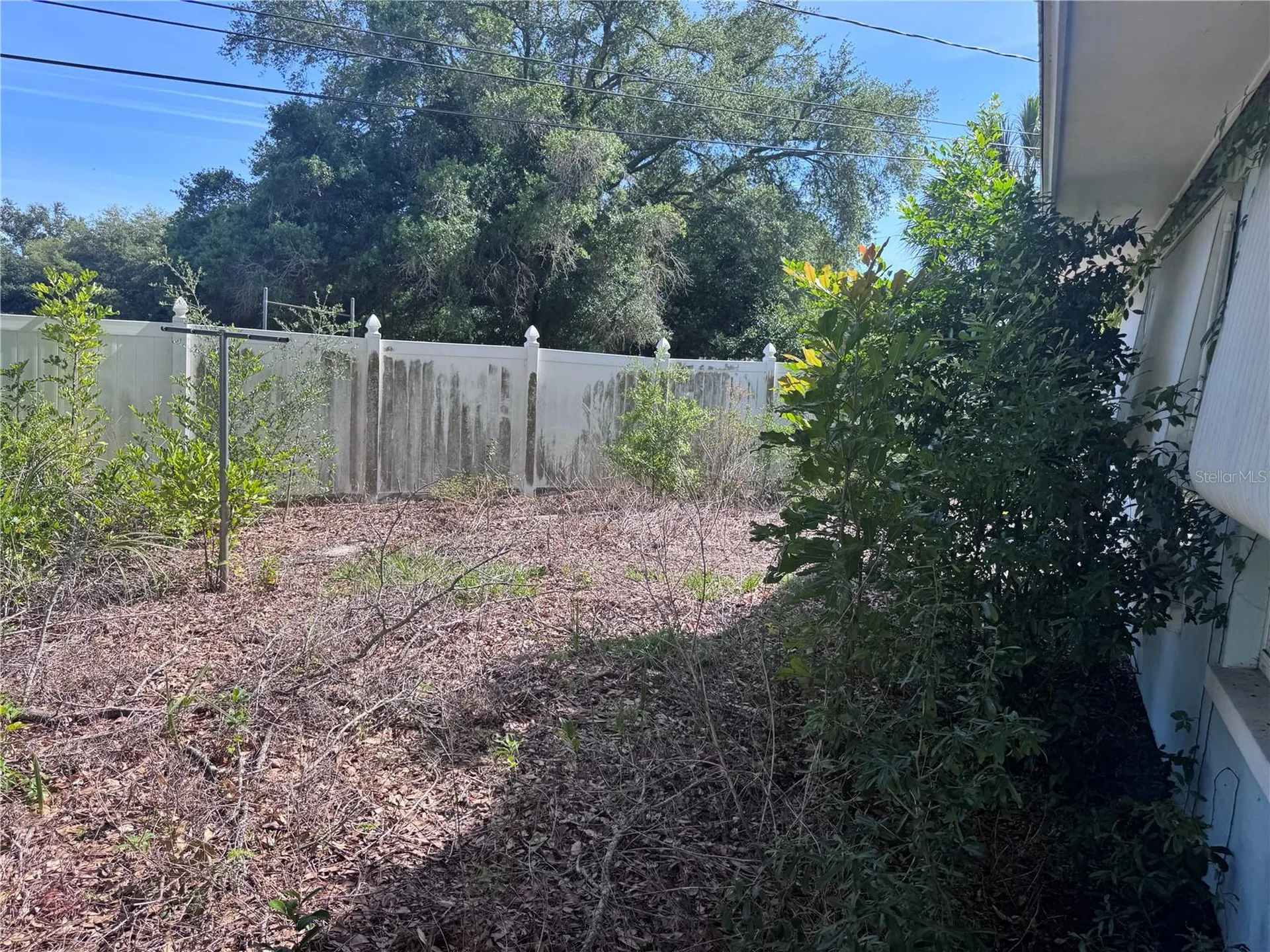1601 Hardwood Drive Clearwater FL 33756