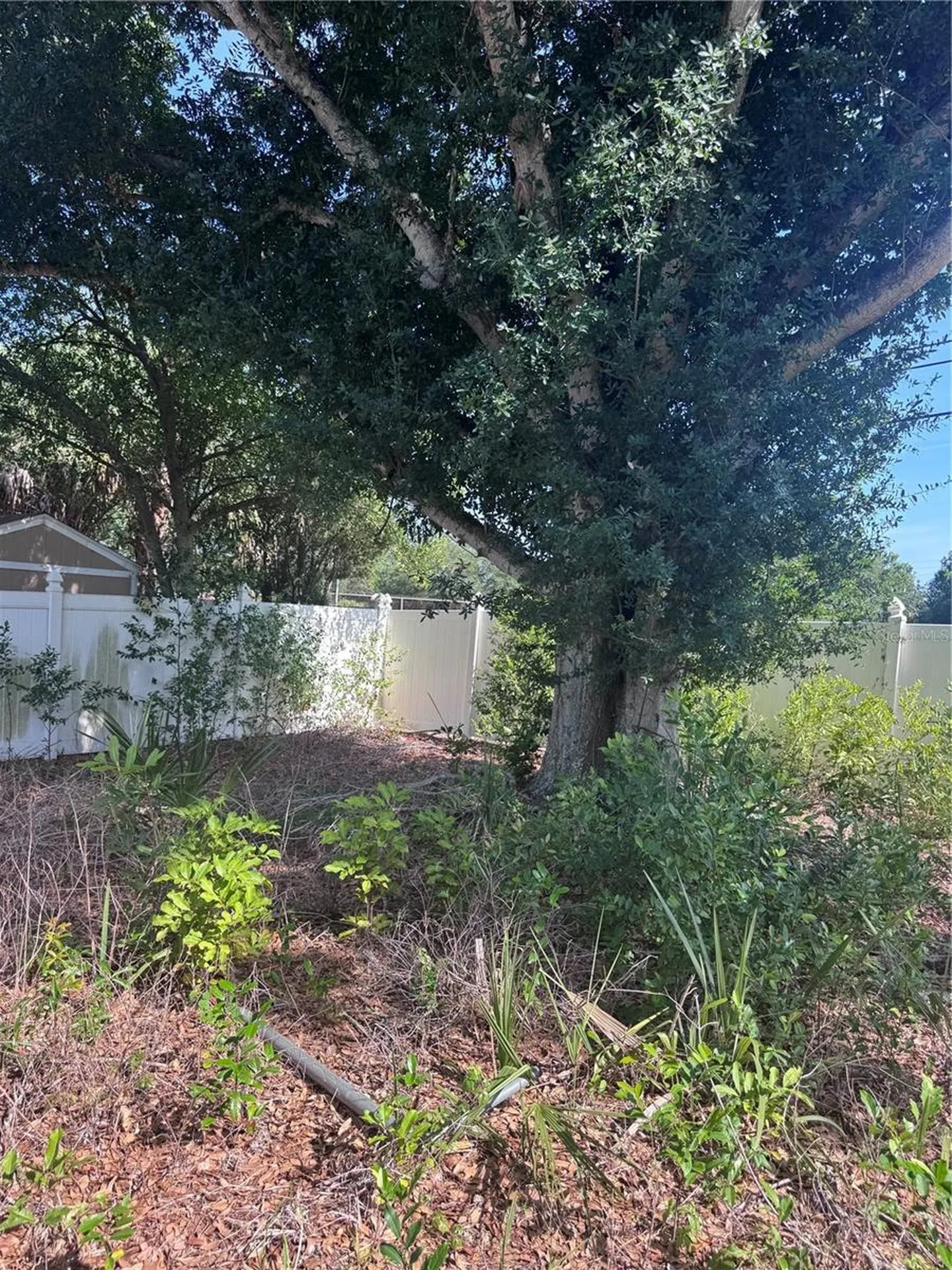 1601 Hardwood Drive Clearwater FL 33756