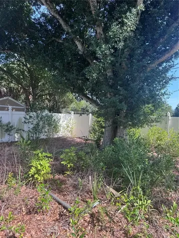 1601 Hardwood Drive Clearwater FL 33756