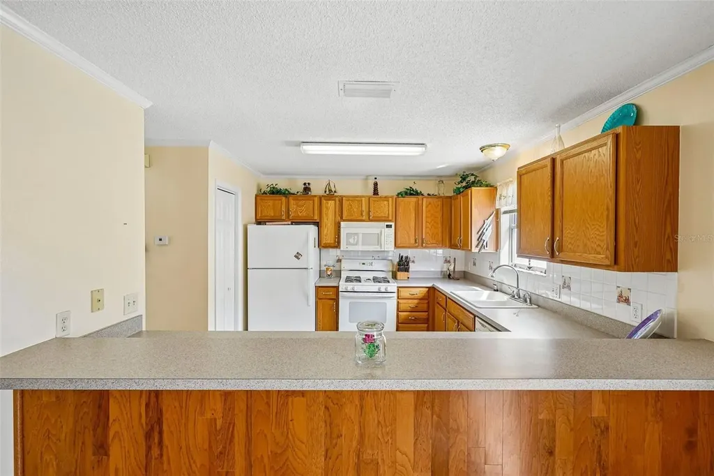 17167 SE 76th Boxbury Court The Villages FL 32162