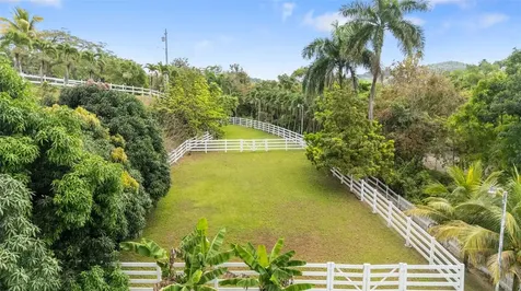 23 & 24 Hacienda Carabali Luquillo PR 00773