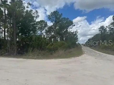 29459 Clara Drive Punta Gorda FL 33982