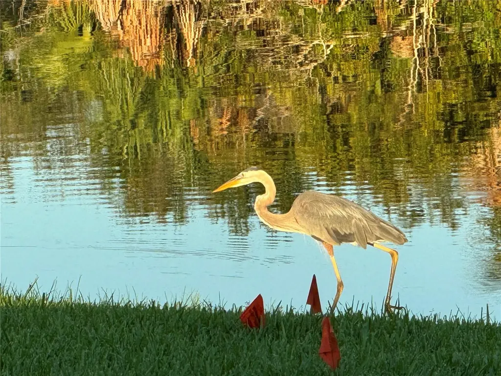6652 Thorman Road Port Charlotte FL 33981